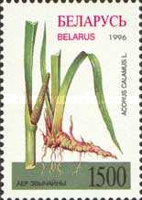 [Flora of Belarus - Herbs, type EE]