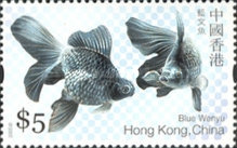 [Goldfish, type AQB]