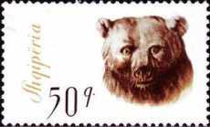 [The Brown Bear, type VQ]
