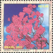 [America UPAEP - Medicinal plants of the Cerrado, type DUL]
