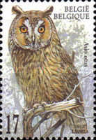 [Birds - Owls, type CED]