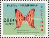 [Butterflies, type CIY]