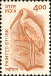 [Wildlife, type BLI]