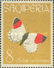 [Butterflies, type MZ]