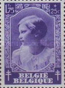 [The struggle against Tuberculosis, type FV6]