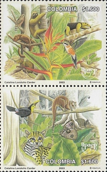 [America - Flora and Fauna, type ]