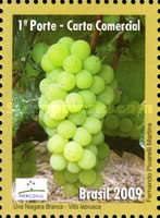 [Mercosul - Export Products - Fruit, type EEJ]