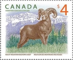 [Fauna - Rocky Mountain Bighorn Sheep, type DRV]