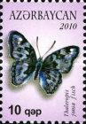 [Butterflies, type AAN]