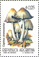 [Fungi, type BUH]