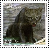 [Brazilian Fauna, type ENG]
