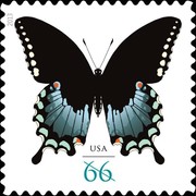 [Fauna - Butterflies, type XCS]