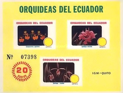 [Orchids, type XQU]