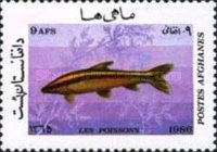 [Marine Life - Fish, type AEZ]