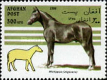 [Horses, type AMS]