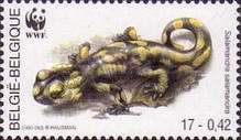 [World Wildlife Foundation, type CHQ]