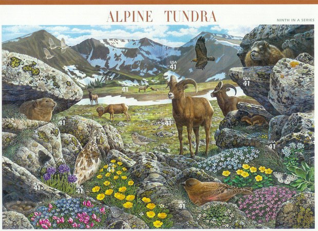[Nature of America - Alpine Tundra - Self-Adhesive, type ]