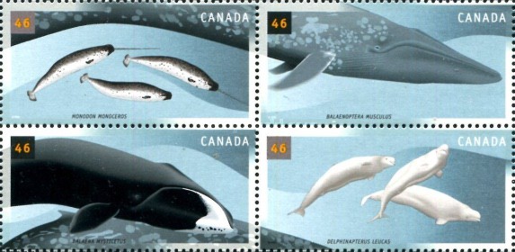 [Whales, type ]