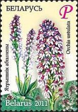 [Flowers - Endangered Plants of Belarus, type ADK]
