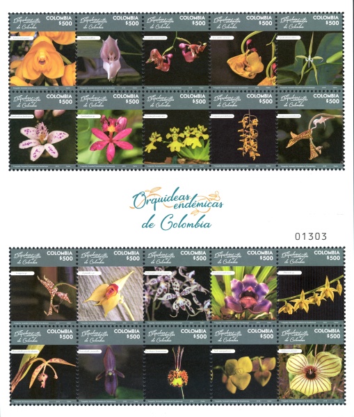 [Flowers - Orchids of Colombia, type ]
