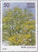 [Flowering Trees, type ZX]