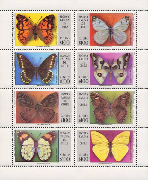 [Butterflies, type ]