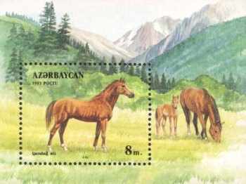 [Horses, type ]