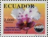 [Orchids of Mazan Forest, type CJE]