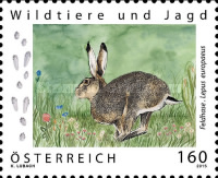 [Wild Animals and Hunting - Brown Hare, type DHH]