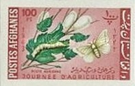 [Day of Agriculture, type JQ7]