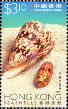 [Sea Shells, type YI]