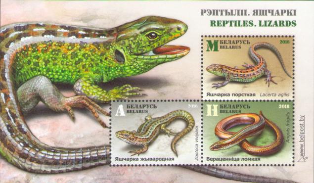 [Lizards & Worms, type ]