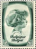 [The struggle against Tuberculosis, type GG6]