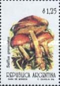 [Fungi, type BTA]