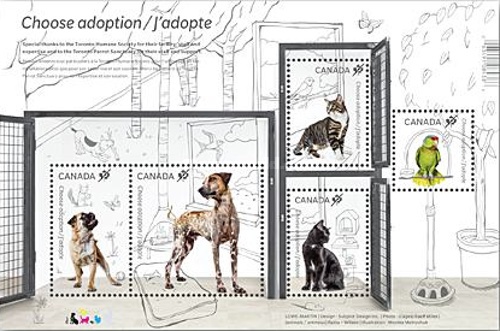 [Domestic Animals - Adopt a Pet, type ]