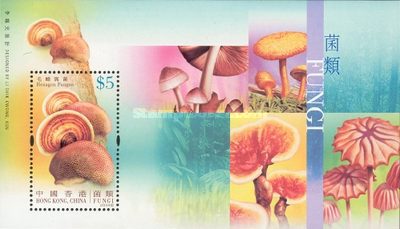[Fungi, type ]