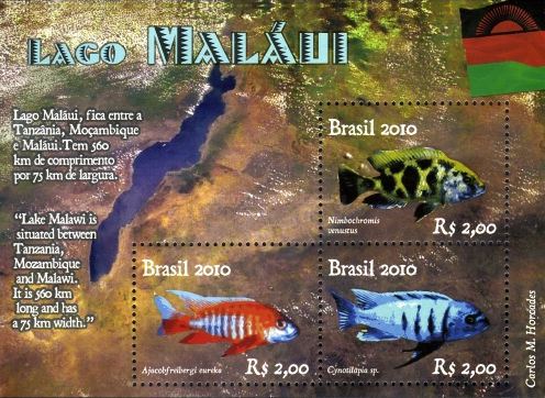 [Fish - Diplomatic Relations - Brazil-Malawi, type ]