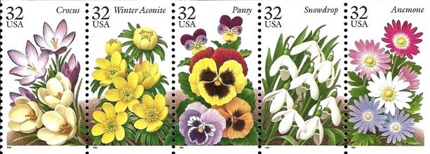 [Garden Flowers, type ]