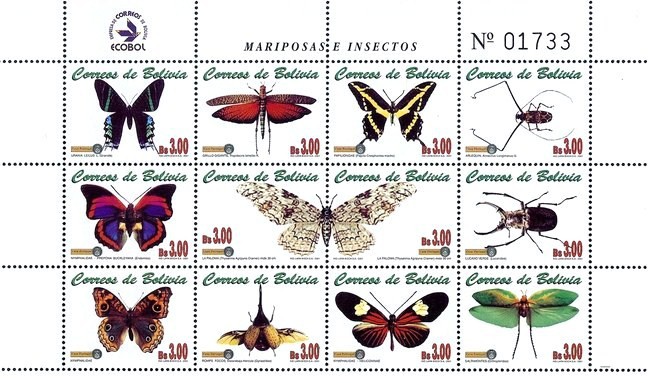 [Butterflies and Insects, type ]