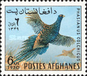 [Fauna - Birds, type PZ]