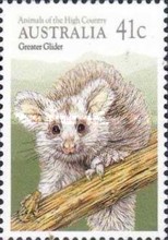 [Animals, type ANH]