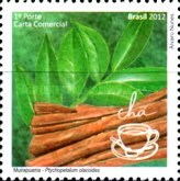 [Flora - Medicinal Plants, type ENM]