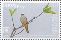 [Birds of Prey - White Frame, type ZO]
