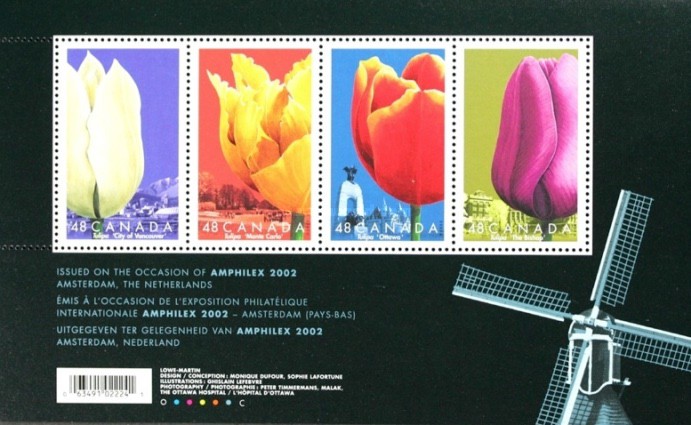 [International Tulip Festival, type ]