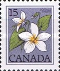 [Wild Flowers, type YG]