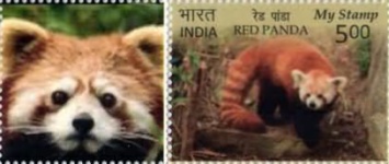 [Red Panda - Personalized Vignette, type EGP]