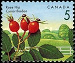 [Edible Berries, type ATZ]