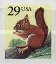 [Red Squirrel - Self-adhesive, type CCR]