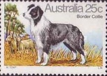 [Dogs, type TS]