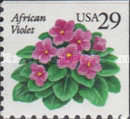 [Flowers - African Violet, type CFE]